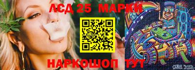 спиды Можга
