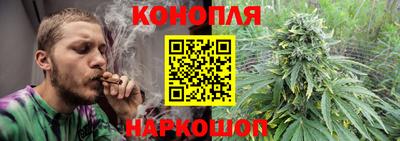 спиды Можга