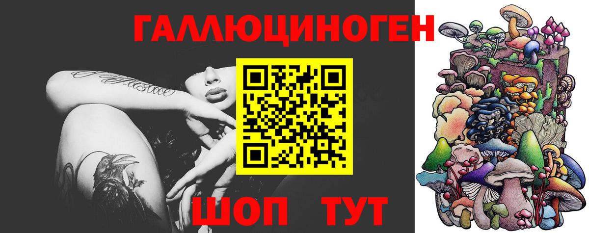 Галлюциногенные грибы мухоморы Великий Устюг